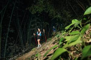 BIB: 
                            <button type="button" onclick="openModal(28153597)" class="btn btn-primary btn-sm float-right btn-popup" data-toggle="modal" data-target=".modal-high-quality">
                        <i class="fas fa-shopping-cart"></i> Add to Cart
                    </button>
                                            <button type="button" onclick="isThisMe(28153597, true)" class="btn btn-success btn-sm float-right btn-popup btn-isme hidden" data-toggle="tooltip" data-placement="bottom" title="นี่คือรูปของคุณใช่ไหม คลิกที่นี่เพื่อเอาเข้าอัลบั้ม">
                        <i class="fas fa-plus"></i> Add to album
                    </button>
                    <button type="button" onclick="isThisMe(28153597, false)" class="btn btn-warning btn-sm float-right btn-popup btn-isnotme hidden">
                        <i class="fas fa-ban"></i> Remove from album
                    </button>